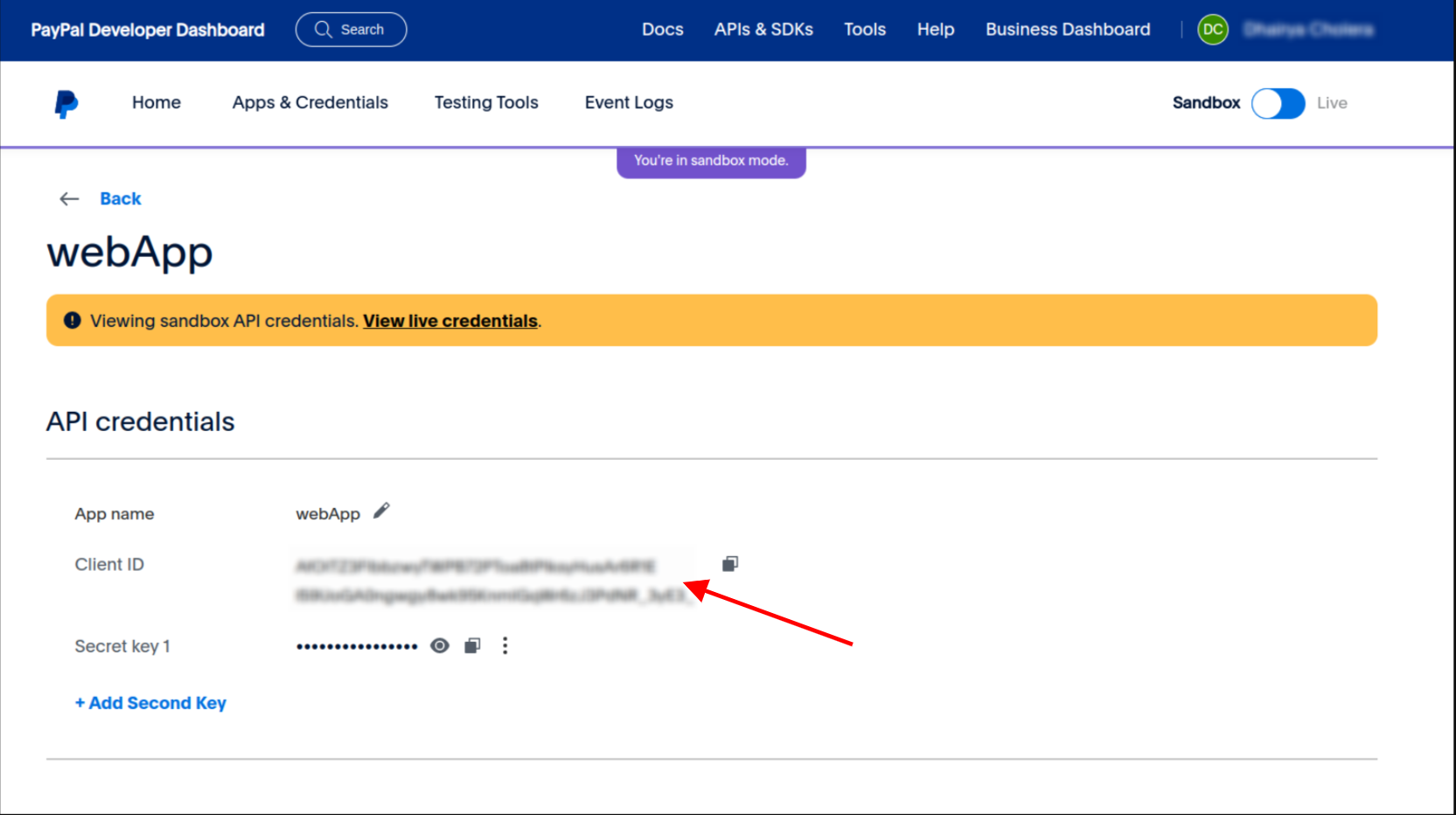 PayPal Step 2