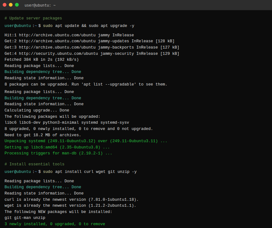 Database Setup