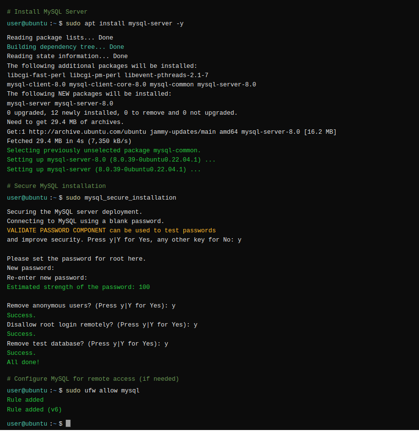 Database Setup